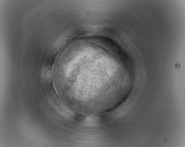 X0000111040720200907091609