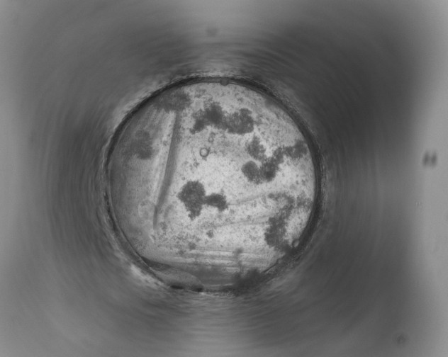 X0000111040721200907091609