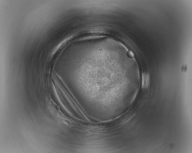 X0000111040723200907091609