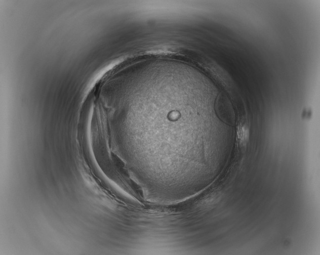 X0000111040724200907091609