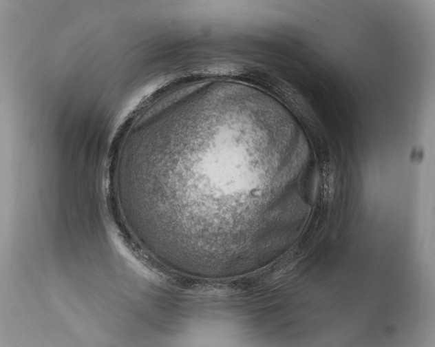 X0000111040726200907091609