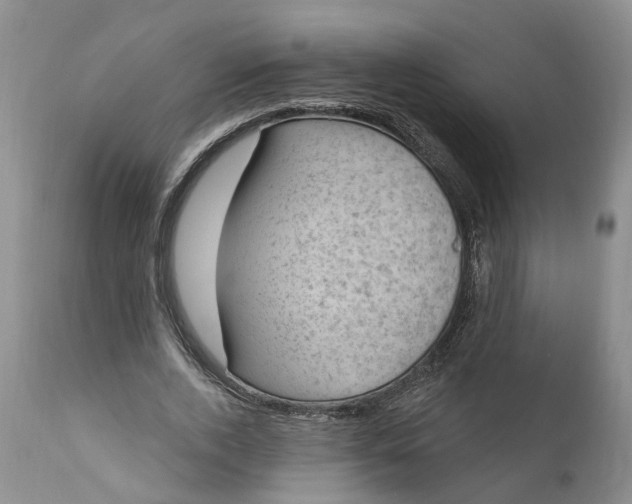 X0000111040728200907091609