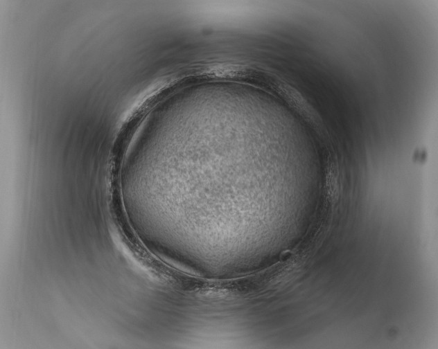 X0000111040730200907091609