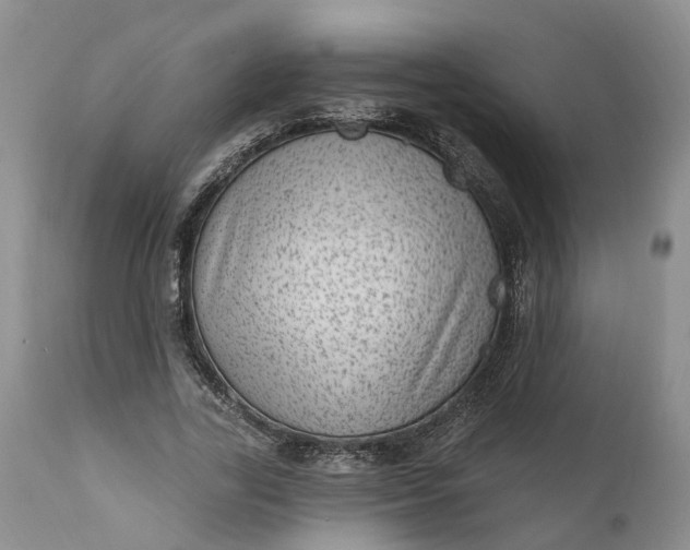 X0000111040731200907091609