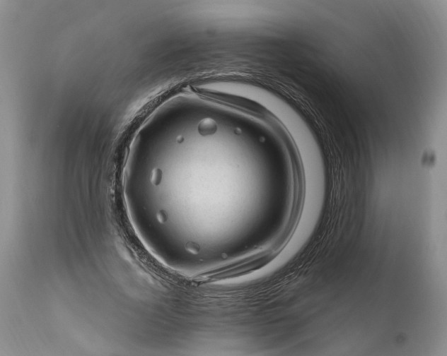 X0000111040732200907091609