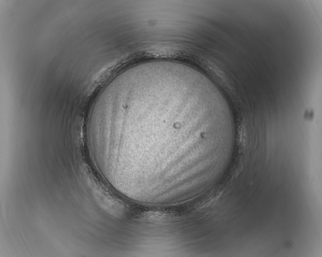 X0000111040733200907091609