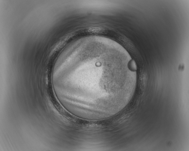 X0000111040734200907091609