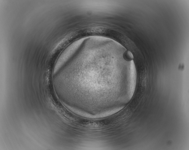 X0000111040735200907091609