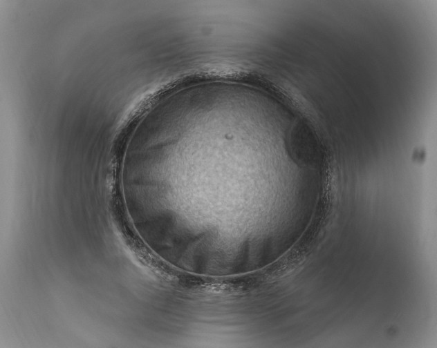 X0000111040736200907091609