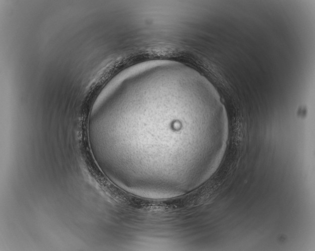 X0000111040738200907091609