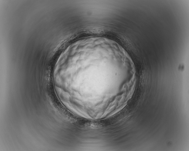 X0000111040739200907091609