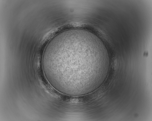 X0000111040740200907091609