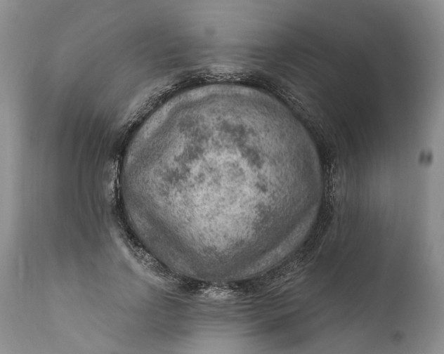 X0000111040742200907091609