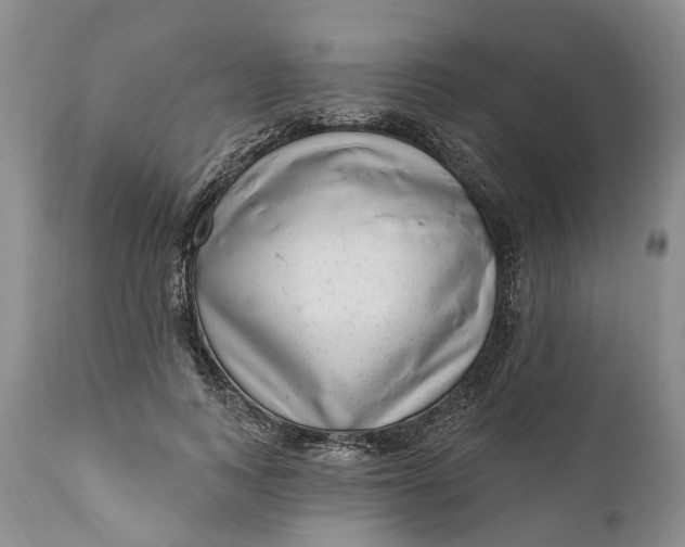 X0000111040743200907091609