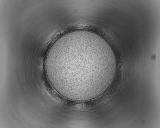 X0000111040744200907091609