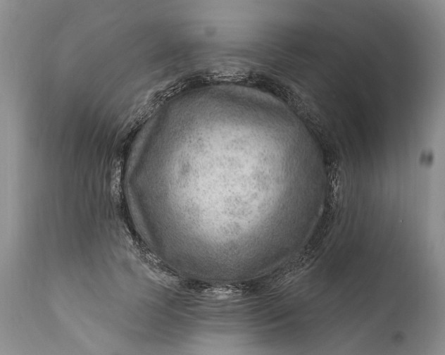 X0000111040745200907091609