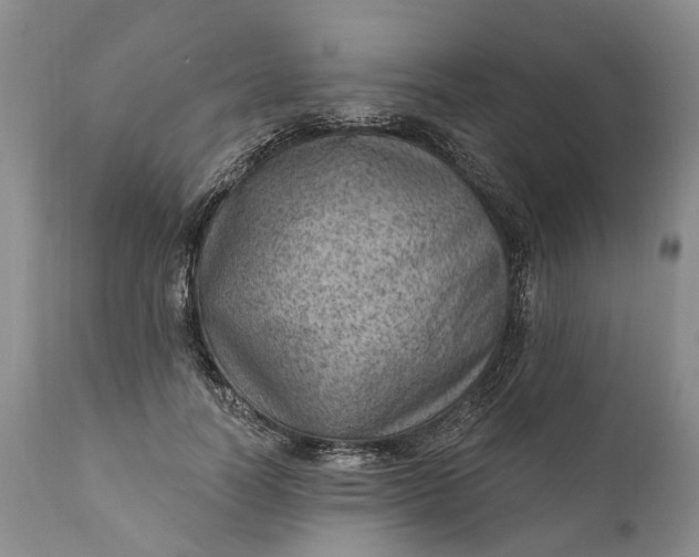 X0000111040746200907091609