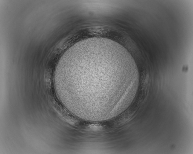 X0000111040749200907091609