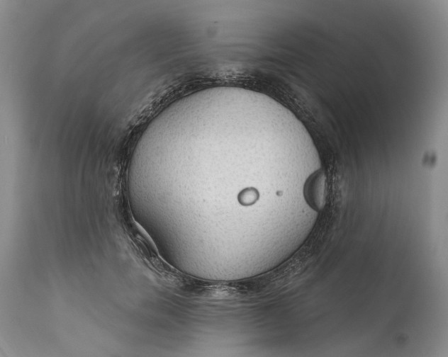 X0000111040750200907091609