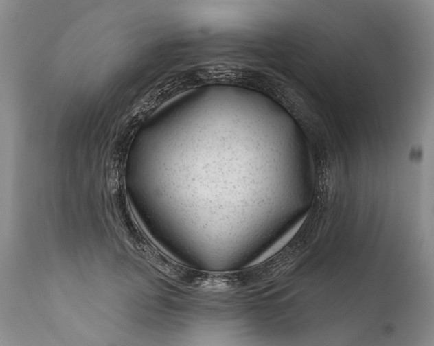 X0000111040751200907091609