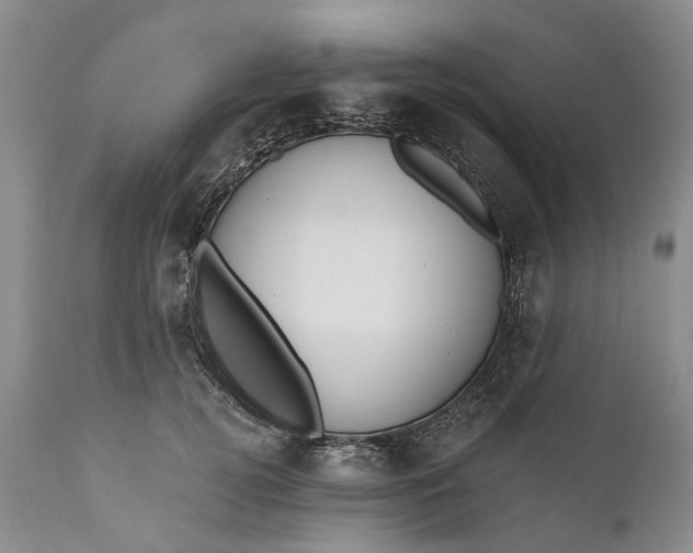 X0000111040752200907091609