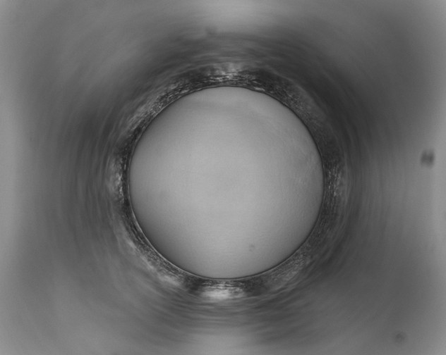 X0000111040754200907091609