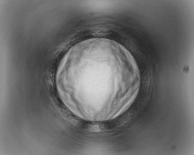 X0000111040755200907091609