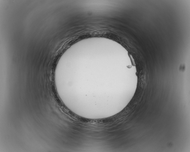 X0000111040756200907091609