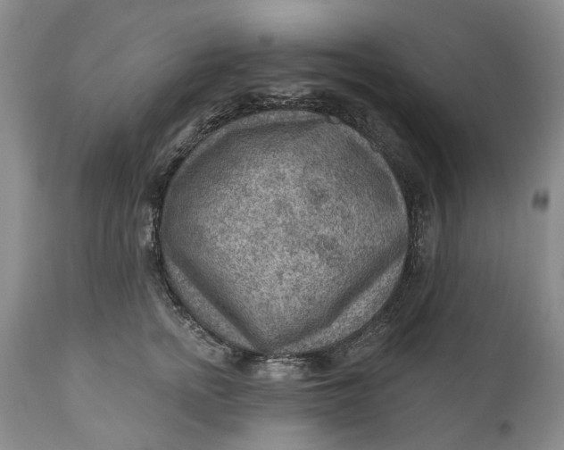 X0000111040758200907091609