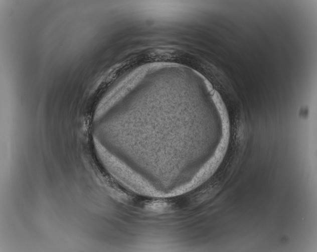 X0000111040759200907091609