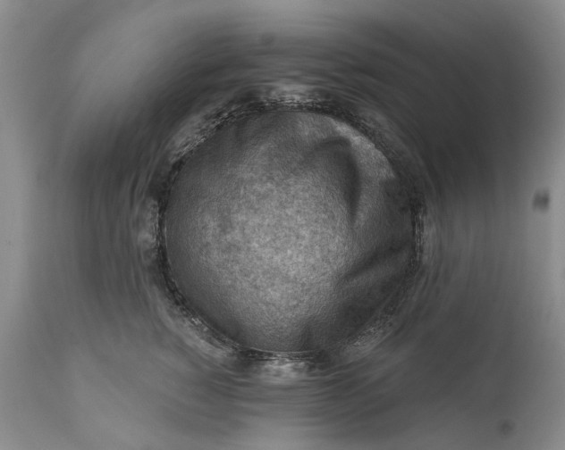 X0000111040760200907091609