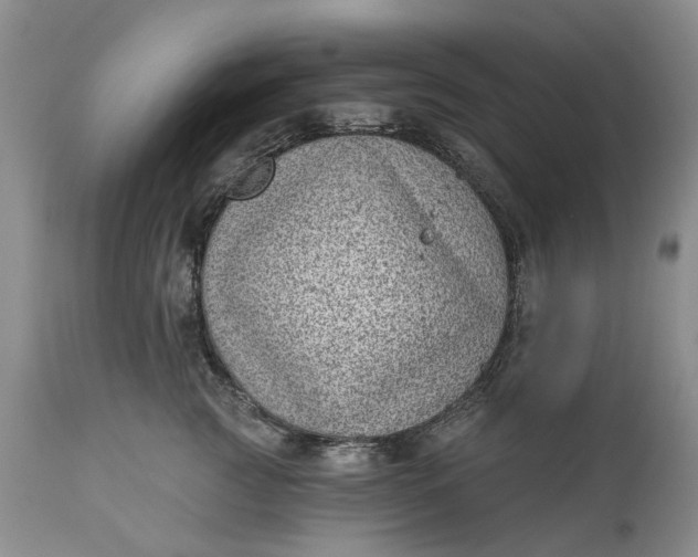 X0000111040761200907091609