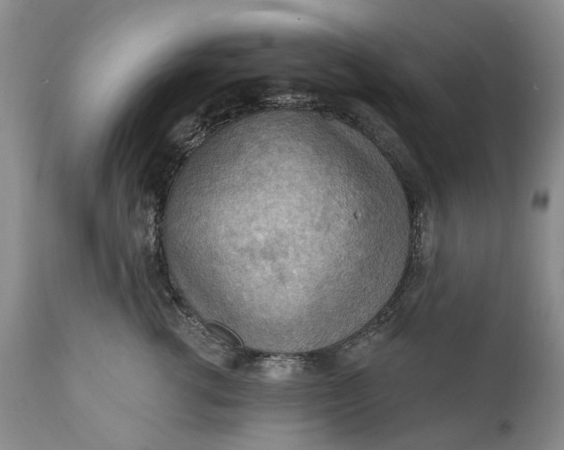 X0000111040762200907091609