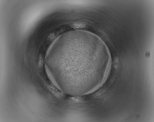 X0000111040763200907091609