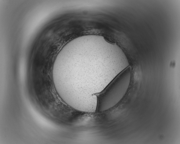 X0000111040764200907091609