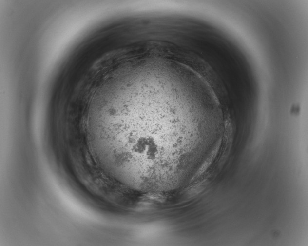 X0000111040765200907091609