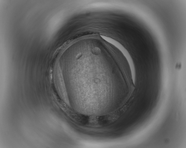 X0000111040766200907091609