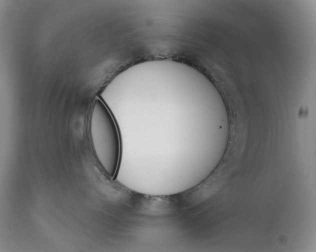 X0000111040768200907091609