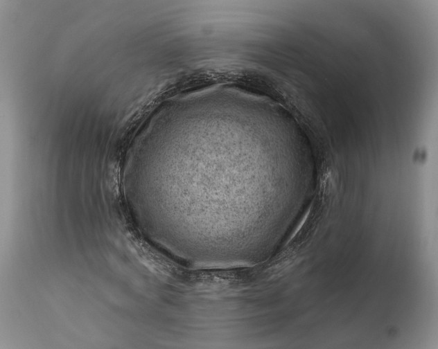 X0000111040772200907091609