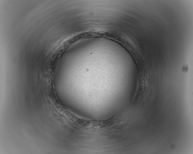 X0000111040773200907091609