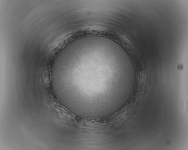 X0000111040774200907091609