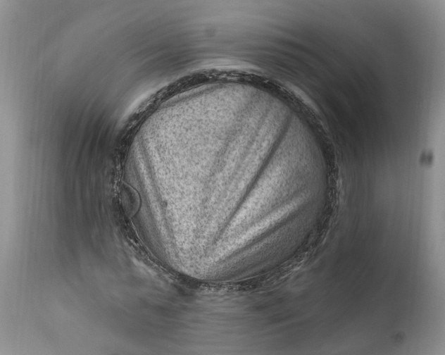 X0000111040775200907091609