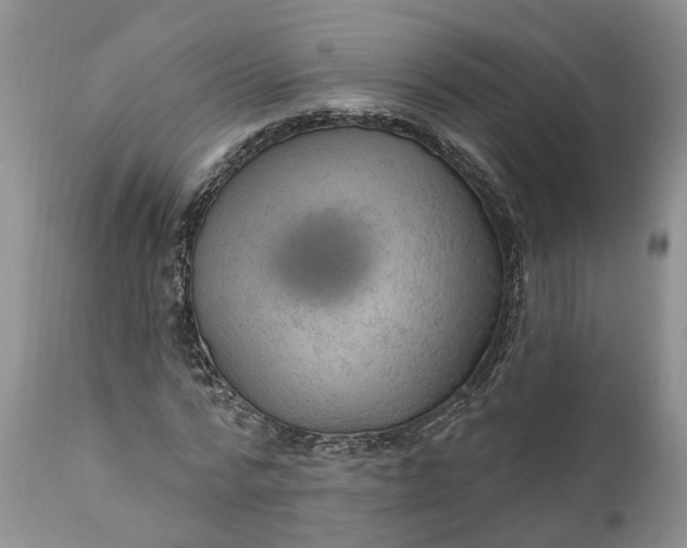 X0000111040776200907091608