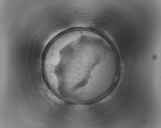 X0000111040779200907091608