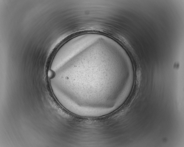 X0000111040780200907091608