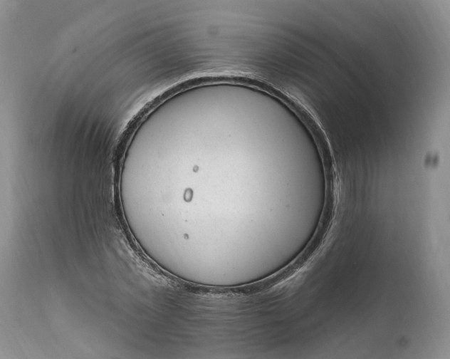 X0000111040781200907091608