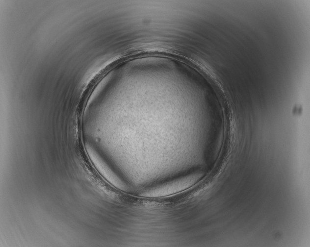 X0000111040782200907091608