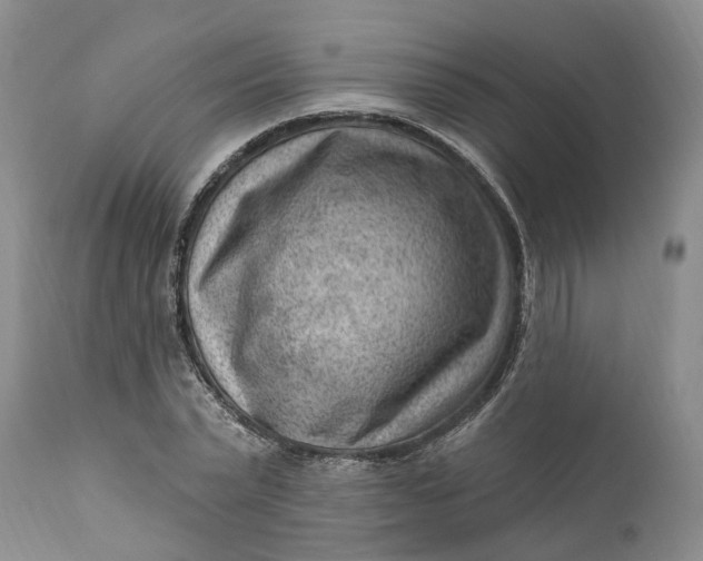 X0000111040783200907091608