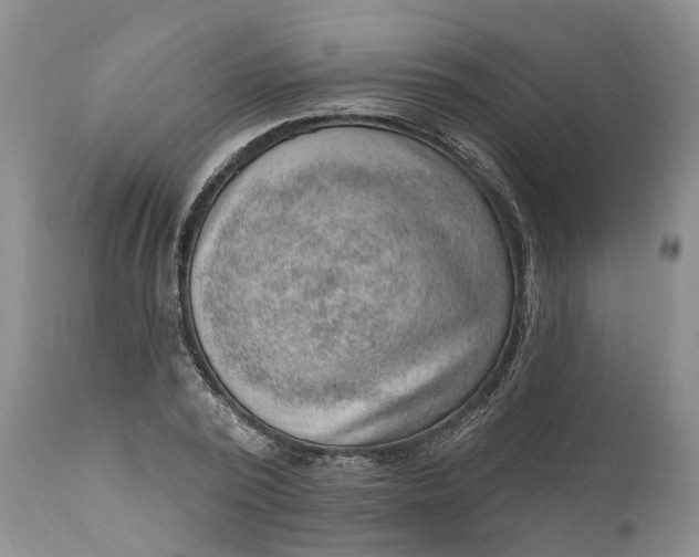 X0000111040784200907091608