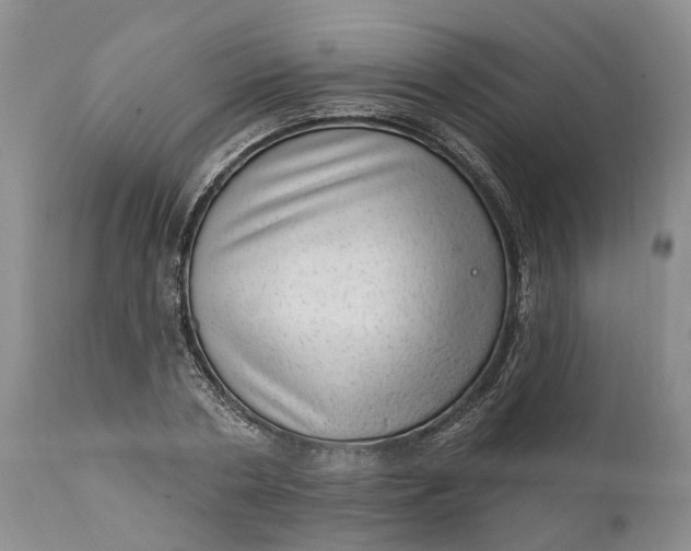 X0000111040786200907091608